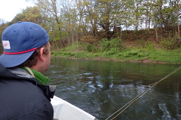 guided fly fishing the delaware river with filingo fly fishing for big brown trout (803)