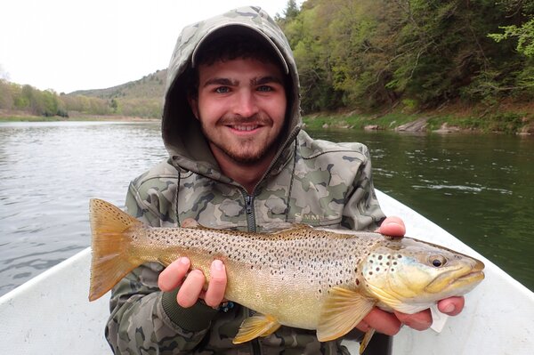 guided fly fishing on the delaware river for brown trout (145)