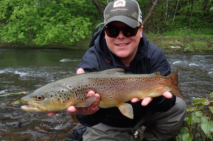 big wild brown trout with filingoflyfishing