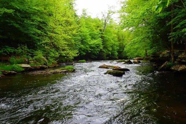 guided fly fishing with jesse filingo of filingo fly fishing (364)