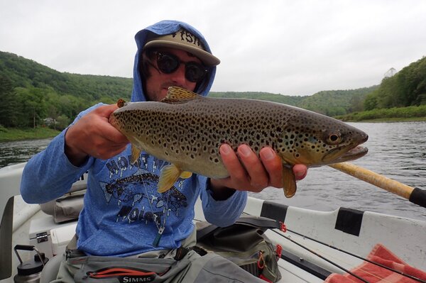 guided fly fishing for trout new york upper delaware river and pennsylvania pocono mountains (1112)