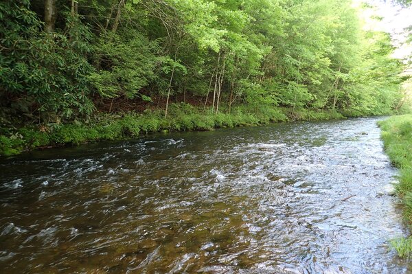 guided fly fishing pocono mountains Pennsylvania and upper delaware river new york filingo fly fishing (1116)