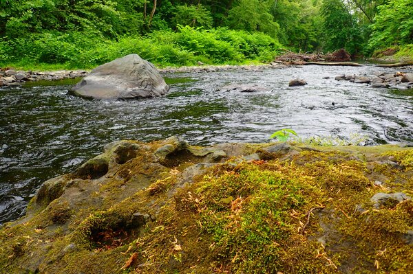 pocono mountains fly fishing (40)