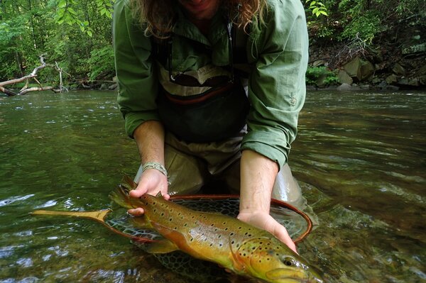 guided fly fishing trip with filingo fly fishing on the upper delaware river with jesse filingo (365)