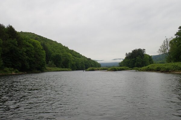 west branch delaware river big brown trout guided fly fishing tours jesse filingo  (1126)