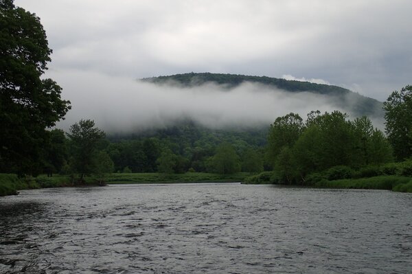 fly fishing the upper delaware river with jesse filingo of filingo fly fishing (567)