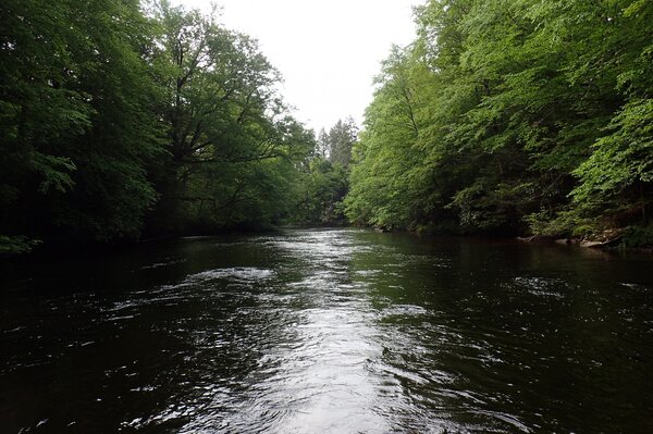 guided fly fishing the pocono mountains with filingo fly fishing (820)