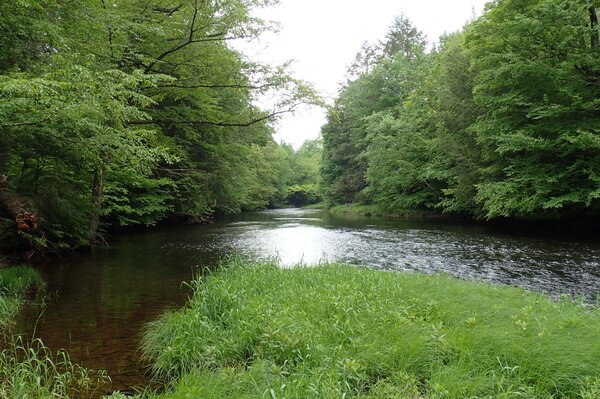 guided fly fishing the pocono mountains for trout with jesse filingo of filingo fly fishing (822)