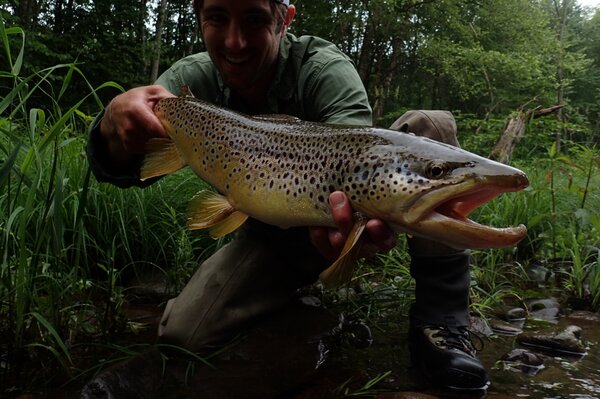 pocono mountains fly fishing (24)