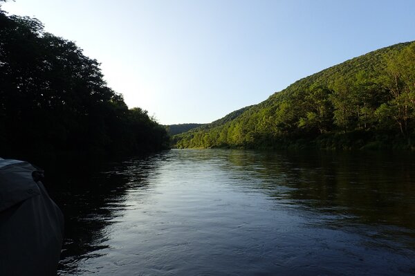 delaware river guided fly fishing (877)