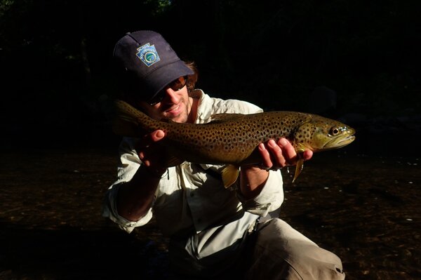 wild brown trout filingoflyfishing (183)