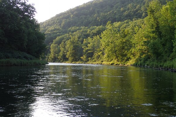 fly fishing the upper delaware river for wild trout with jesse filingo of filingo fly fishing (596)