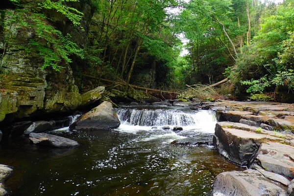 guided fly fishing tours in the pocono mountains with jesse filingo of filingo fly fishing (591)