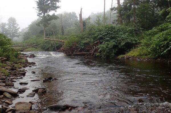 guided fly fishing big brown trout pocono mountains pennsylvania jesse filingo (1210)