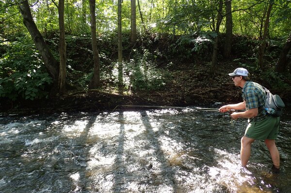 fly fishing the pocono mountains with jesse filingo on a guided fly fishing trip for wild trout (416)