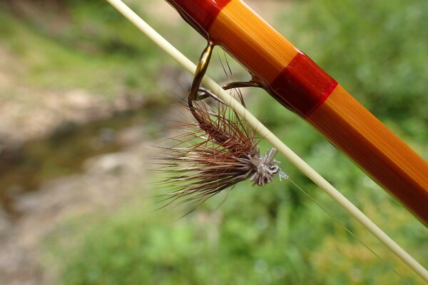 guided fly fishing wild brown trout pocono mountains pennsylvania jesse filingo (1216)
