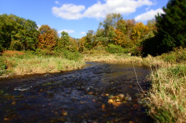 guided fly fishing pennsylvania pocono mountains and guide fly fishing new york upper delaware river brown trout filingo fly fishing (1276)