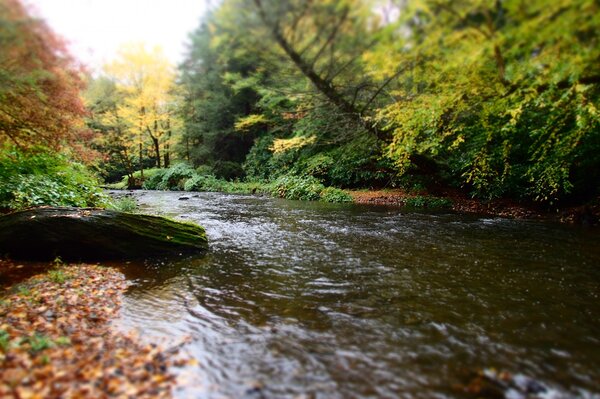 pocono mountains guided fly fishing trips with jesse filingo of filingo fly fishing (983)