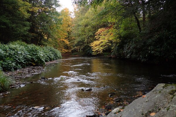 pocono mountains guided fly fishing with filingo fly fishing (984)