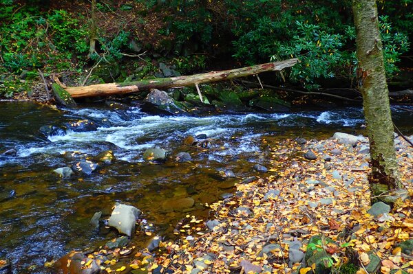 pocono mountains fly fishing with jesse filingo of filingo fly fishing (643)