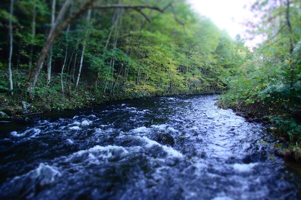 guided fly fishing in the pocono mountains and upper delaware river with jesse filingo (649)