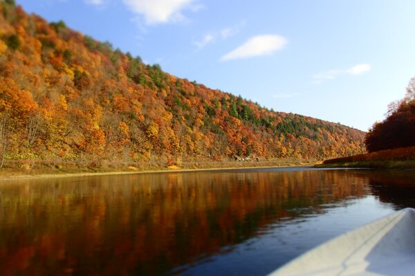 guided fly fishing new york upper delaware river west branch delaware river filingo fly fishing (1281)