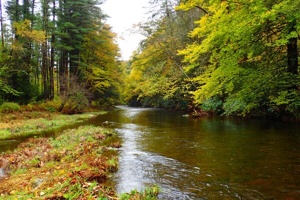 guided fly fishing trips in the pocono mountains and delaware river with jesse filingo of filingo fly fishing (659)