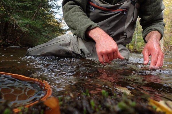 fly fishing the pocono mountains with filingo fly fishing of for wild brown and brook trout (661)