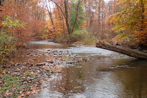 guided fly fishing tours in the pocono mountains for big trout with jesse filingo of filingo fly fishing (1005)