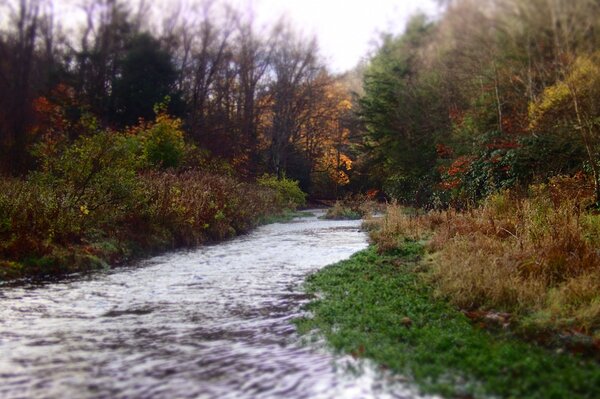 guided fly fishing tours in the pocono mountains with jesse filingo of filingo fly fishing for wild trout (444)