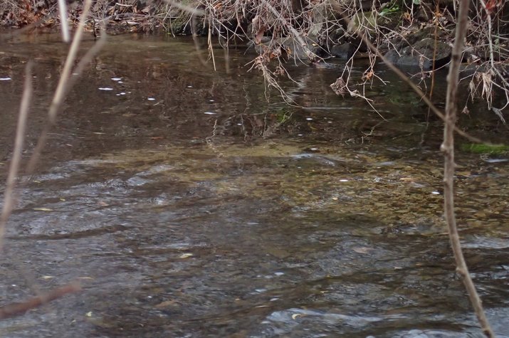 guided fly fishing in the pocono mountains and delaware river with jesse filingo of filingo fly fishing