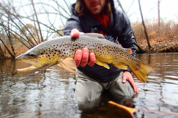 guided fly fishing tours in the pocono mountains with jesse filingo of filingo fly fishing (446)