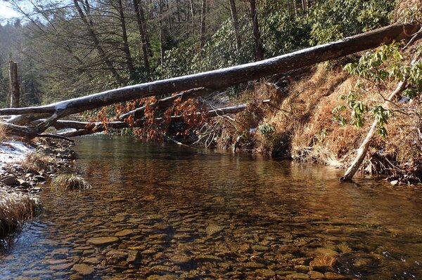 pocono mountains guided fly fishing (1017)