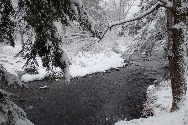 fly fishing pocono mountains in the winter (279)