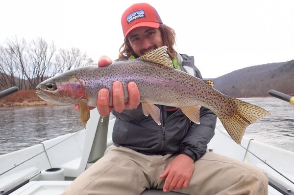 wild rainbow trout caught on a guided fly fishing tour with jesse filingo of filingo fly fishing on the west branch of the delaware river (451)