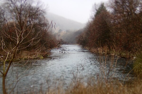 fly fishing the pocono mountains with jesse filingo of filingo fly fishing for wild brown trout (673)