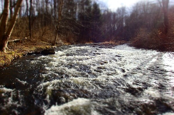 pocono mountains pennsylvania guided fly fishing trips with jesse filingo of filingo fly fishing (1027)