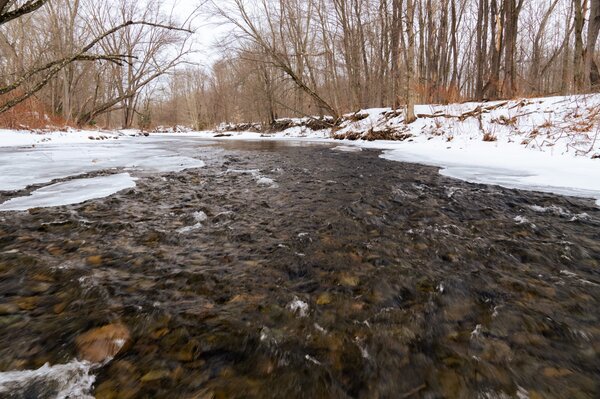 guided fly fishing pocono mountains pennsylvania (1533)