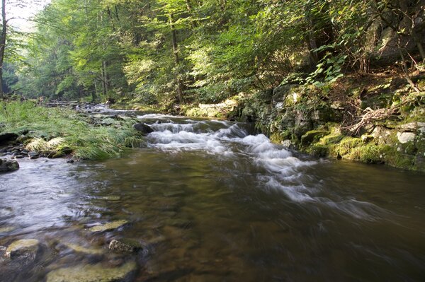 fly fishing guide pocono mountains Pennsylvania fly fishing  (1474)