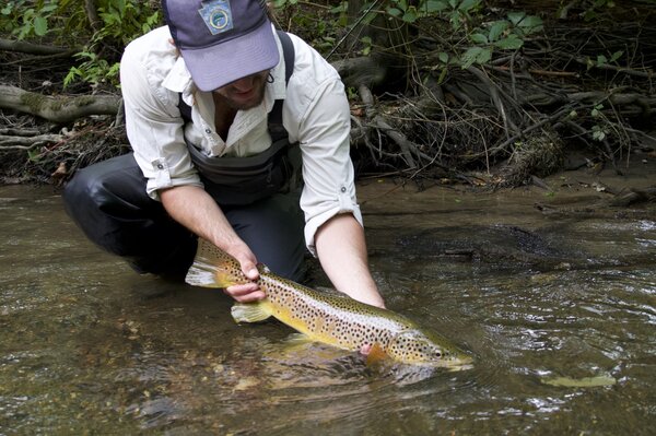 fly fishing pocono mountains pennsylvania fishing guide jesse filingo (1476)