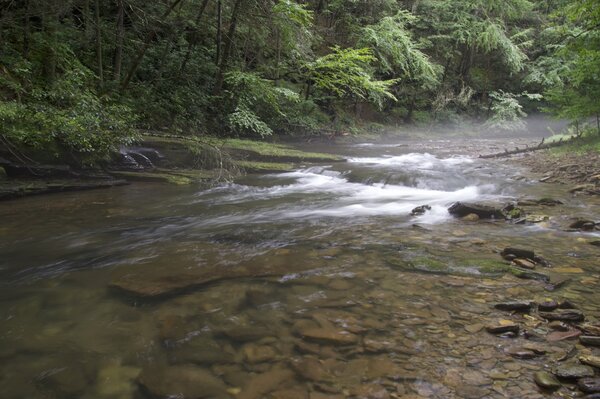 pocono mountains fly fishing guide jesse filingo (1478)