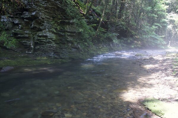 pennsylvania pocono mountains guided fly fishing jesse filingo (1480)