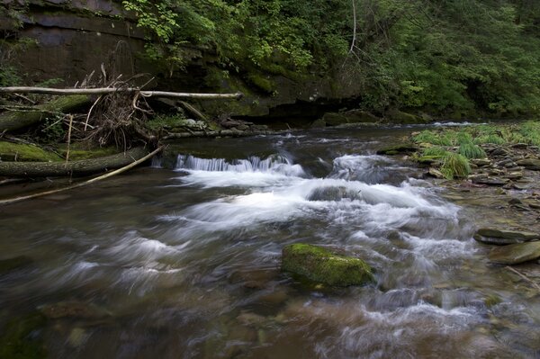 Pennsylvania fly fishing guide jesse filingo (1481)