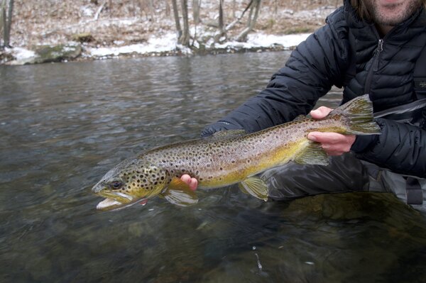 pocono mountains pennsylvania fly fishing guide (1525)