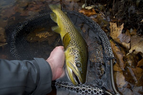 pocono mountains Pennsylvania fishing guide jesse filingo (1527)