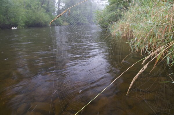 fly fishing pocono mountains pennsylvania fly fishing guide (1693)