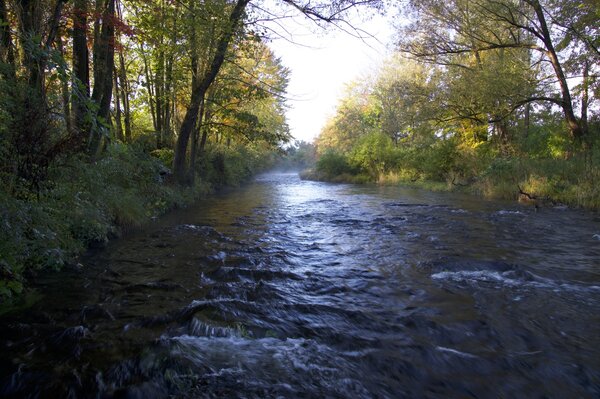 fly fishing pocono mountains pennsylvania fly fishing guide (1694)