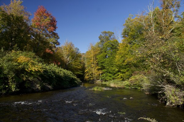 pocono mountains pennsylvania fly fishing guide jesse filingo (1695)