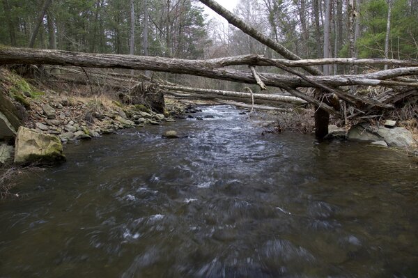 fly fishing pocono mountains pennsylvania (1757)