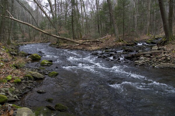 pocono mountains pennsylvania fly fishing  (1759)